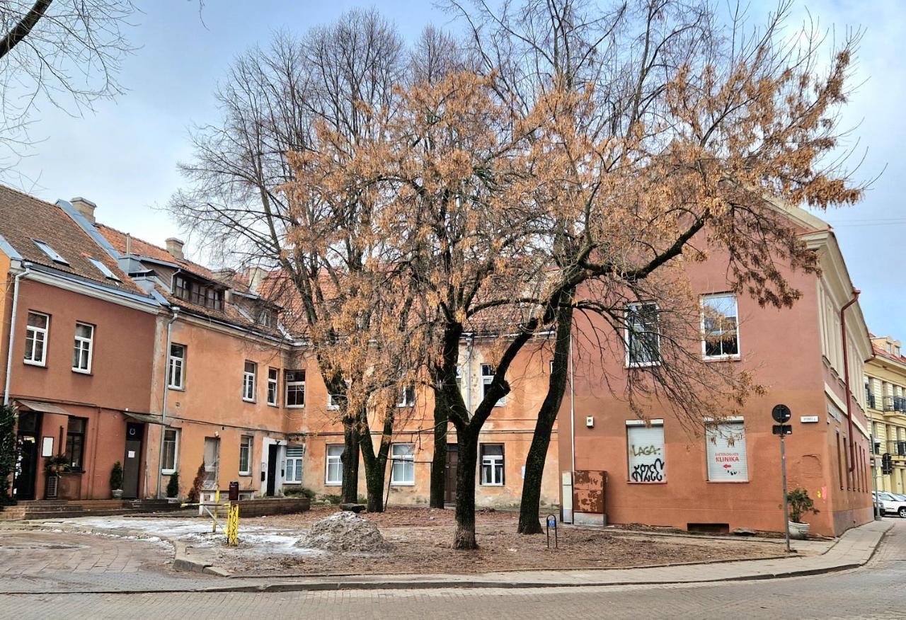 빌뉴스 Cozy Studio In Heart Of Old Town 아파트 외부 사진